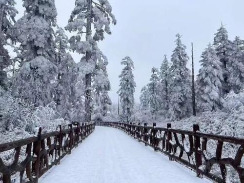 贵阳市今年冬季雪多吗