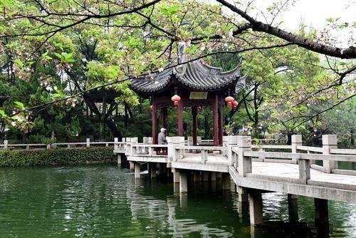 上海的后花园是我国的哪个城市
