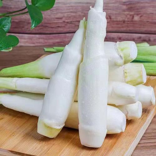 茭白是笋类吗
