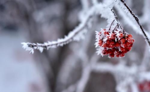 初雪的含义
