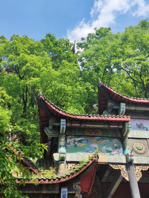 南山是什么地方