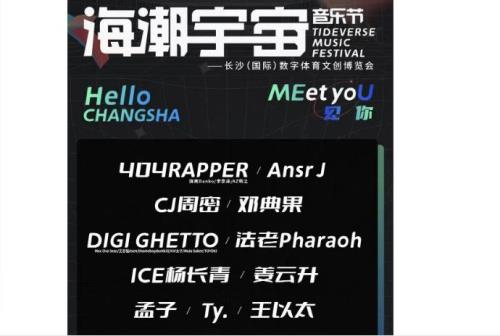 嗨浪音乐节普通区和vip差别