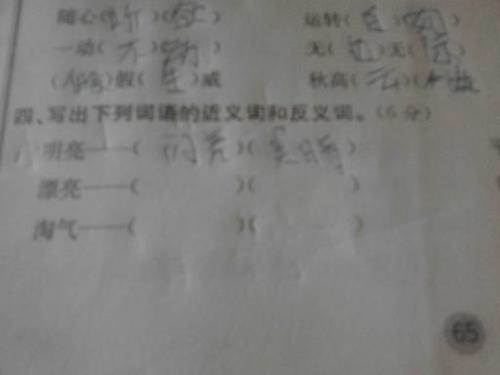 公开的反义词