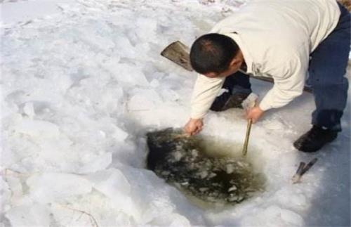 林蛙入河时间大概在几点