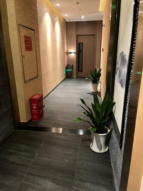 SPA和足浴店有啥区别