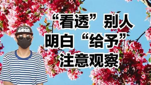 残情人生啥意思