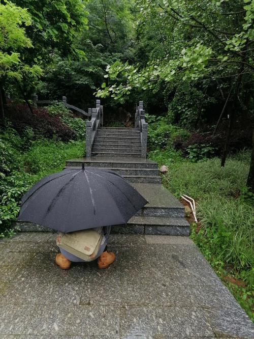 为什么我每次出门都下雨