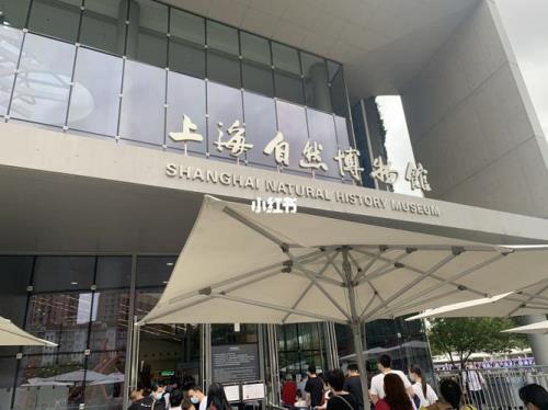 去上海博物馆住哪里方便