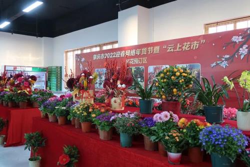 端州区2023春节花市还开吗