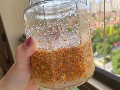 桂花蜜能做什么好吃的
