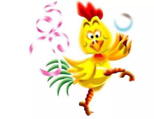 今年55周岁的人属啥