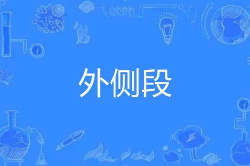 内侧外侧什么意思