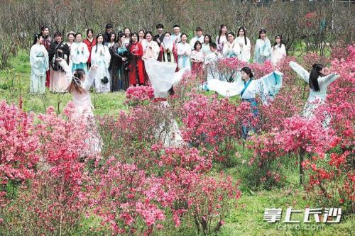 长沙赏花指南