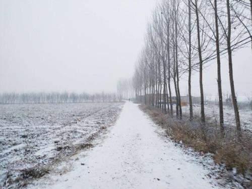 乡村雪景怎么拍