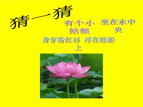 我觉得花儿什么补充句子一年级