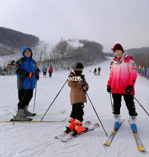 滑雪滑单板好还是滑双板好