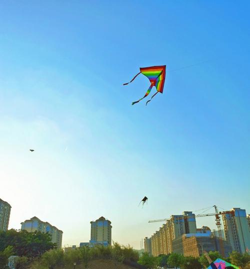在广州有什么放风筝的好地方