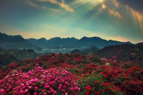 毕节市有什么地方好玩的