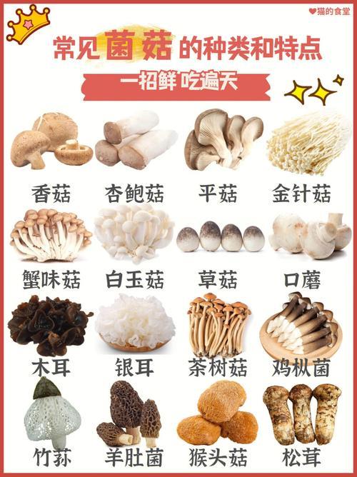 菌类营养价值排名