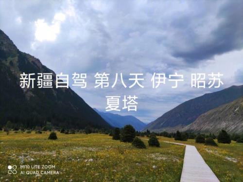 温宿到昭苏多少公里