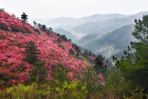 武汉有什么山