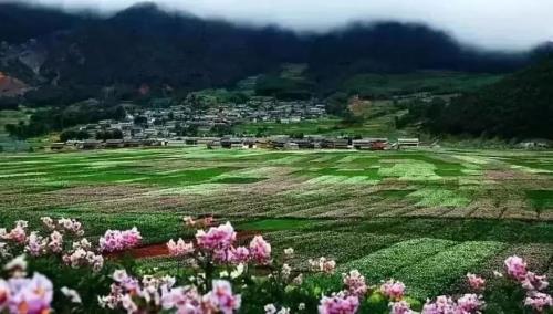 云南鹤庆坝子面积