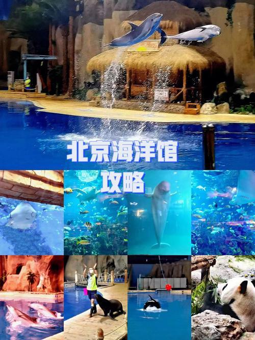 北京有几个海洋馆啊