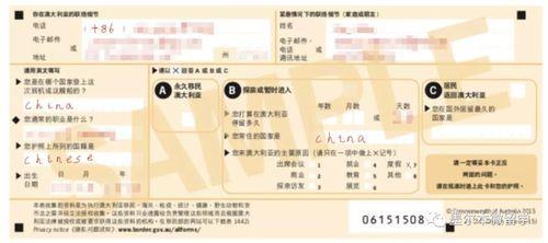 墨尔本机场入境流程