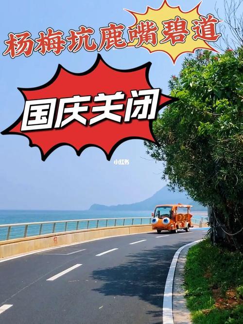 鹿嘴大道能开车吗