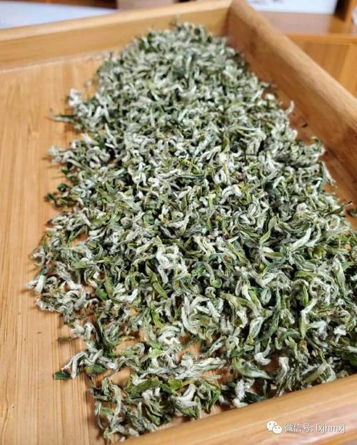 道古马茶保质期