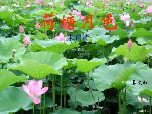 朱自清的荷塘月色写的哪儿