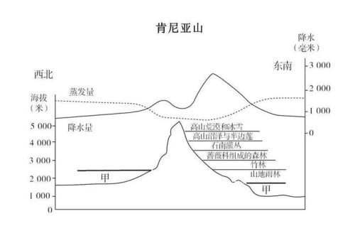 乞力马扎罗山垂直自然带的形成