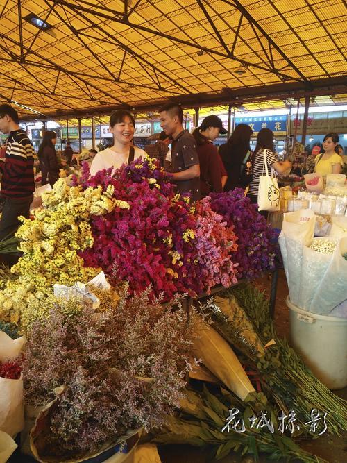 广州岭南花卉市场新址怎么去