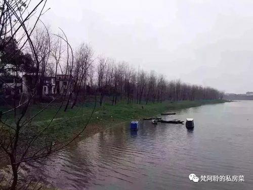 益阳青龙洲主题公园门票