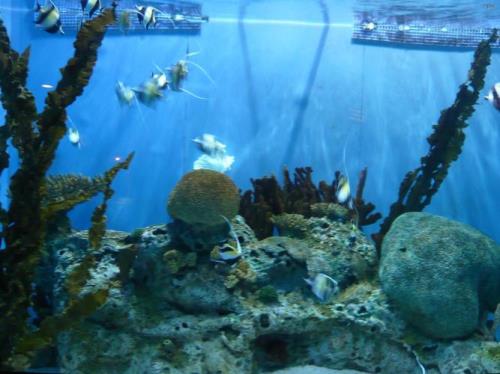 北京海洋馆哪个最好玩