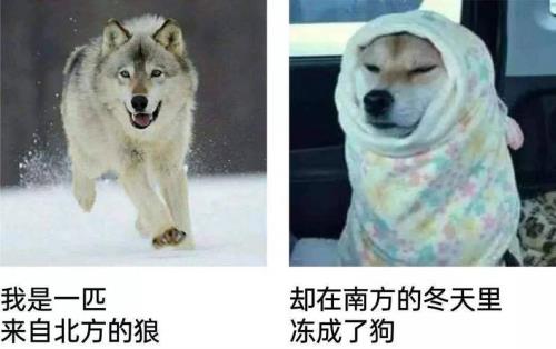 东北从什么时候开始穿短袖的
