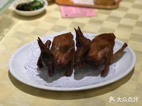 中山石岐哪家店的石岐乳鸽好吃