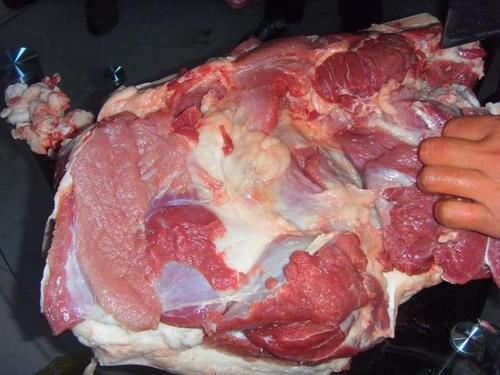 猪腿是前腿好还是后腿好