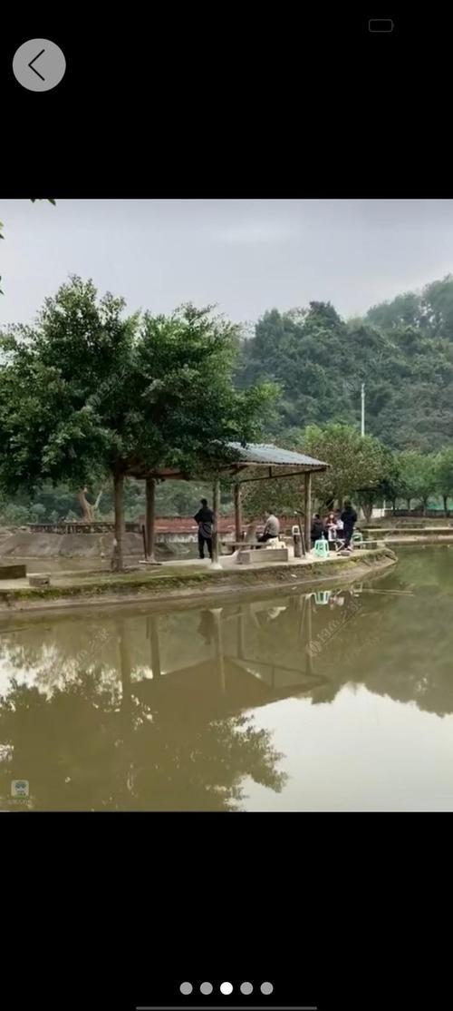 北碚龙滩子水库的鱼能吃吗