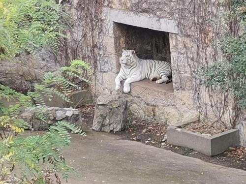 徐州动物园开放时间及门票