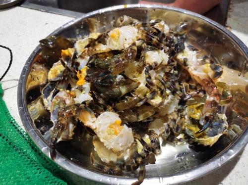 在海南赶海哪个地方小海鲜最多