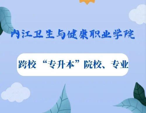 内江有哪些职业学校