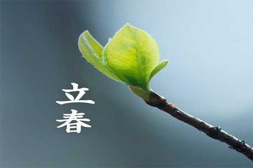 今年立春的准确时间几点几分