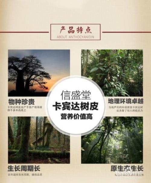 卡宾达正确吃法