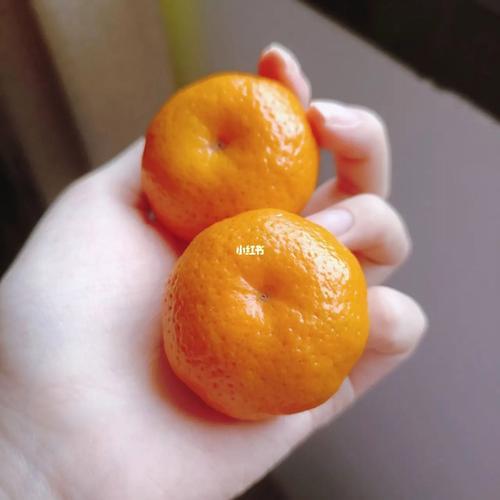 船长狂炫砂糖橘什么意思