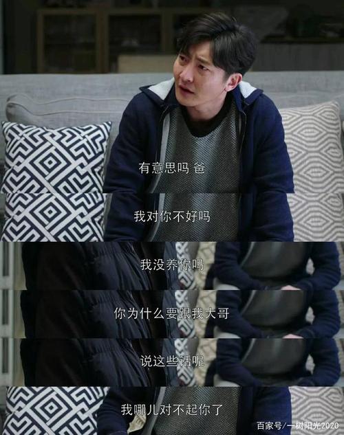 都挺好原著小说苏明成坐牢过程