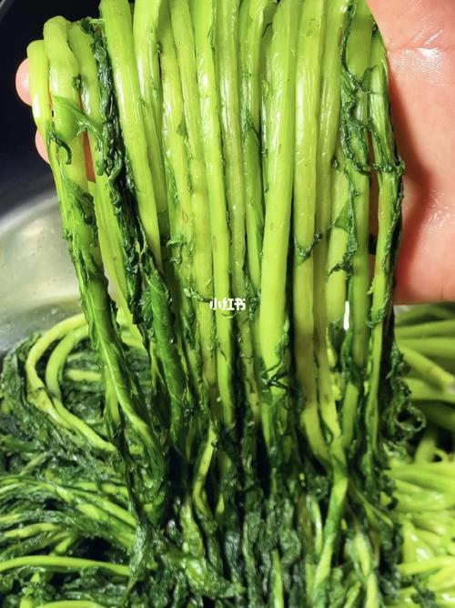 腌制黄菜需要每天换水吗