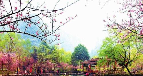 安丘桃花源景点