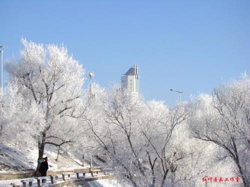 吉林市最近什么时候有雾凇