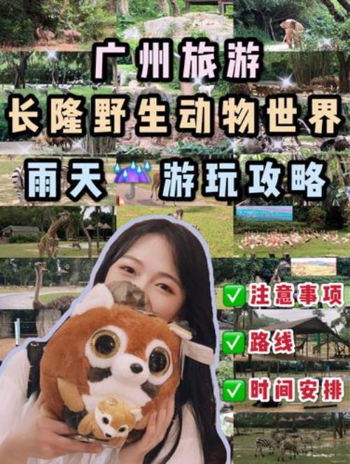 长隆野生动物园雨天开吗